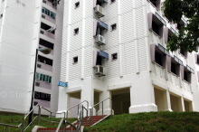 Blk 168 Petir Road (Bukit Panjang), HDB 5 Rooms #223262